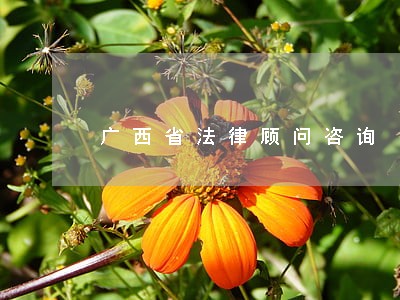 广西省法律顾问咨询 广西省法律顾问咨询