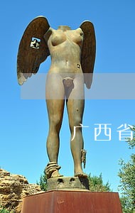 广西省法律顾问哪个好 广西省法律顾问哪个好