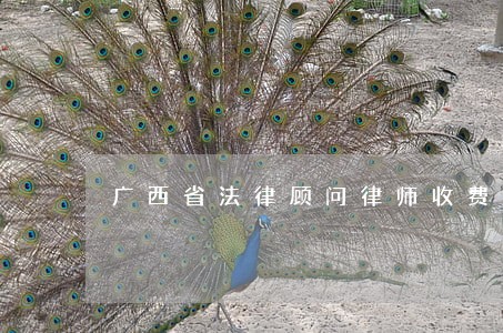 广西省法律顾问律师收费 广西省法律顾问律师收费
