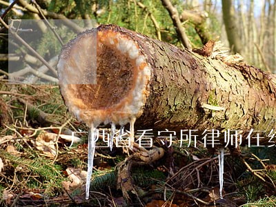 广西省看守所律师在线询问 广西省看守所律师在线询问