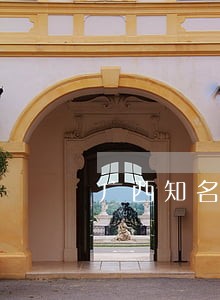 广西知名抢夺罪诉讼律师 广西知名抢夺罪诉讼律师