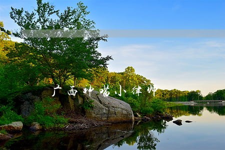 广西神喵小律师 广西神喵小律师