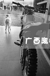 广西离婚律师哪里找 广西离婚律师哪里找
