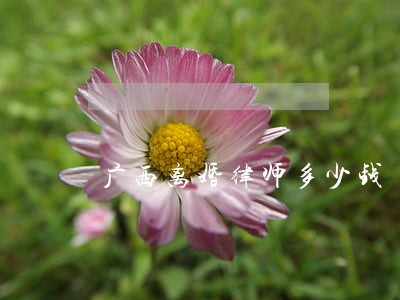 广西离婚律师多少钱 广西离婚律师多少钱