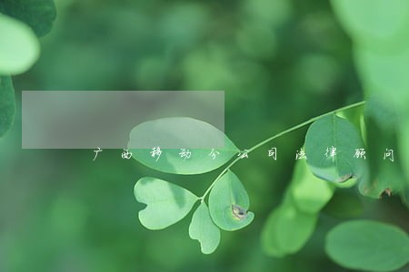 广西移动分公司法律顾问 广西移动分公司法律顾问