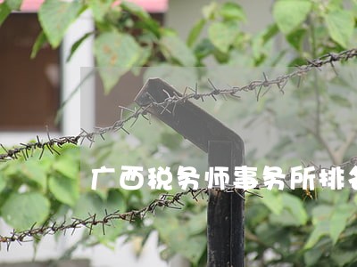 广西税务师事务所排名 广西税务师事务所排名
