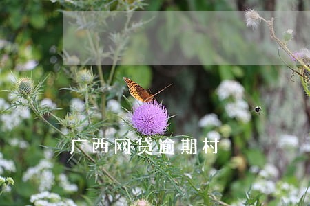 广西网贷逾期村 广西网贷逾期村