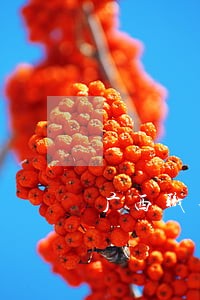 广西职务犯罪案件律师团队 广西职务犯罪案件律师团队