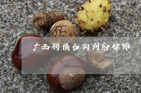 广西聘请合同纠纷律师 广西聘请合同纠纷律师