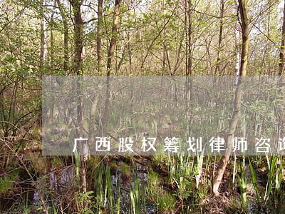 广西股权筹划律师咨询 广西股权筹划律师咨询