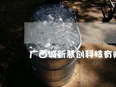 广西诚新慧创科技有限公司