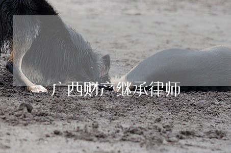 广西财产继承律师 广西财产继承律师