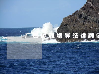 广西远程指导法律顾问 广西远程指导法律顾问