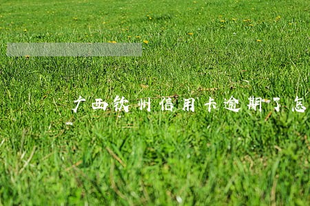 广西钦州信用卡逾期了怎么办 广西钦州信用卡逾期了怎么办
