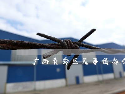 广西青秀区民事债务律师 广西青秀区民事债务律师