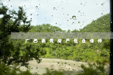 广西青秀房产专业律师 广西青秀房产专业律师