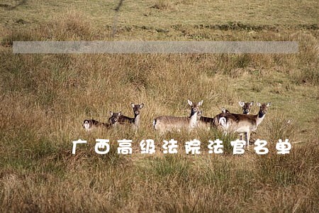 广西高级法院法官名单