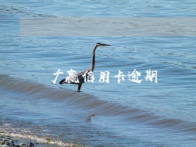 广赢信用卡逾期 广赢信用卡逾期