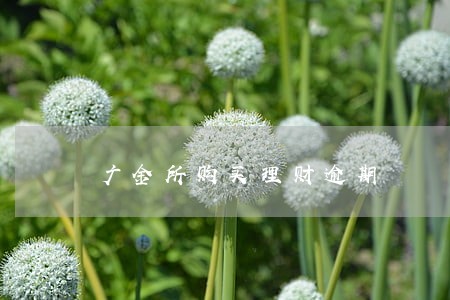 广金所购买理财逾期 广金所购买理财逾期