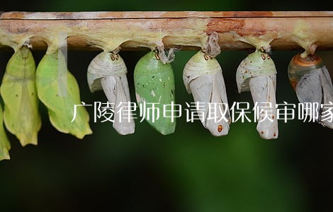 广陵律师申请取保候审哪家好