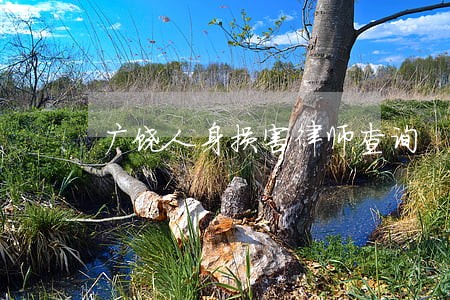 广饶人身损害律师查询 广饶人身损害律师查询