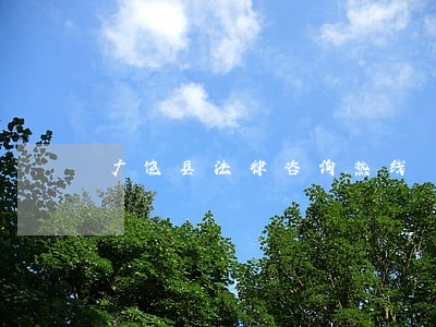 广饶县法律咨询热线