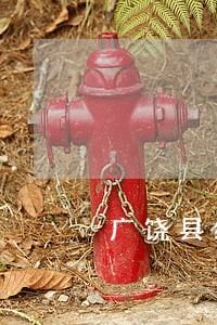 广饶县经济诉讼案件查询 广饶县经济诉讼案件查询