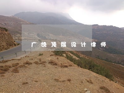 广饶顶层设计律师 广饶顶层设计律师