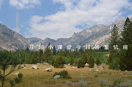 庄园小课堂今日答案信用卡逾期