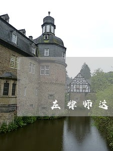 庄律师这个观点 庄律师这个观点