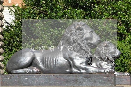 庄昭昭律师