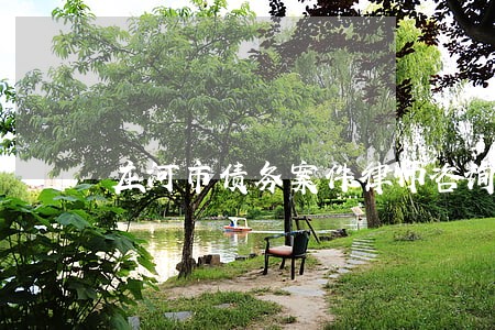 庄河市债务案件律师咨询电话 庄河市债务案件律师咨询电话