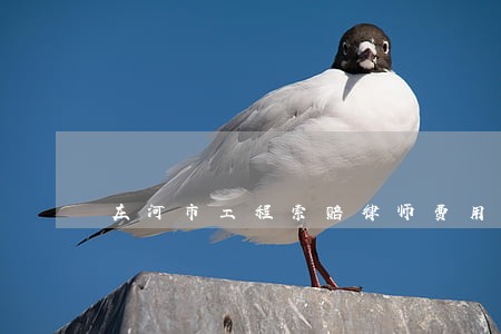庄河市工程索赔律师费用 庄河市工程索赔律师费用