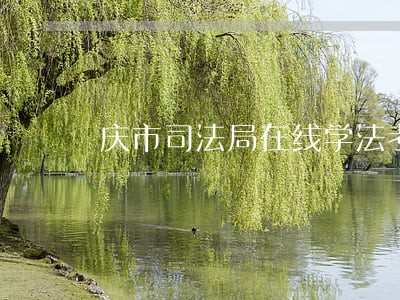 庆市司法局在线学法考试