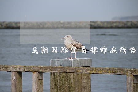 庆阳国际贸易律师在线咨询 庆阳国际贸易律师在线咨询