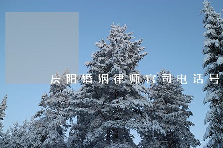 庆阳婚姻律师官司电话号码