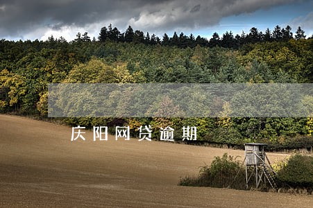 庆阳网贷逾期 庆阳网贷逾期