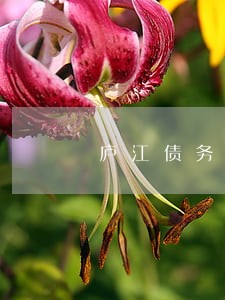 庐江债务转移合同纠纷律师 庐江债务转移合同纠纷律师