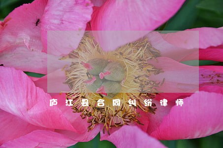 庐江县合同纠纷律师 庐江县合同纠纷律师
