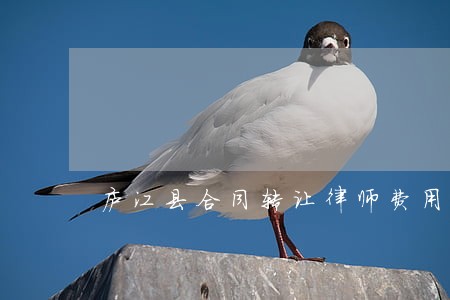 庐江县合同转让律师费用 庐江县合同转让律师费用