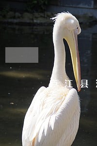 庐江县法律援助中心收费价钱