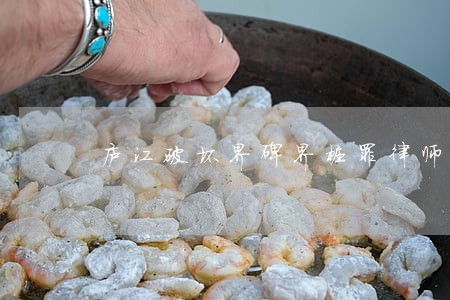 庐江破坏界碑界桩罪律师 庐江破坏界碑界桩罪律师