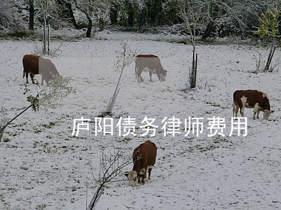 庐阳债务律师费用 庐阳债务律师费用