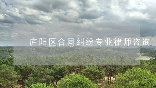 庐阳区合同纠纷专业律师咨询 庐阳区合同纠纷专业律师咨询