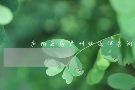 庐阳区房产纠纷法律咨询 庐阳区房产纠纷法律咨询