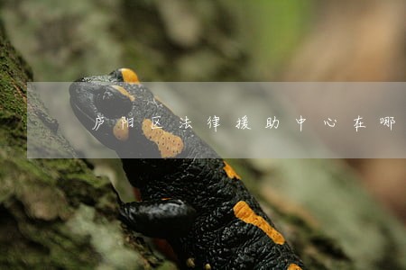 庐阳区法律援助中心在哪 庐阳区法律援助中心在哪