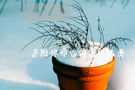 庐阳律师咨询怎么收费 庐阳律师咨询怎么收费