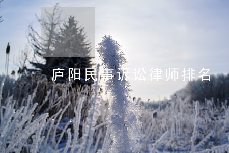 庐阳民事诉讼律师排名 庐阳民事诉讼律师排名