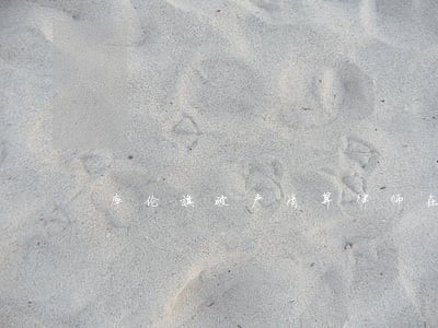 库伦旗破产清算律师在线免费咨询 库伦旗破产清算律师在线免费咨询