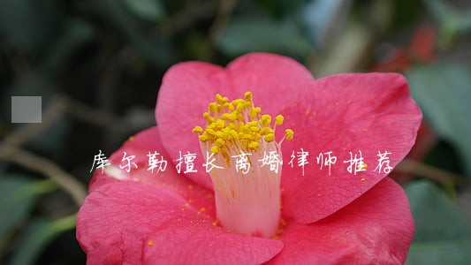 库尔勒擅长离婚律师推荐 库尔勒擅长离婚律师推荐